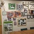Expertly Taught in a Small Group Environment