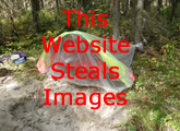 Shelter Building
