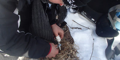 Lighting a Fire with a Striker Lighting a Fire with a Striker